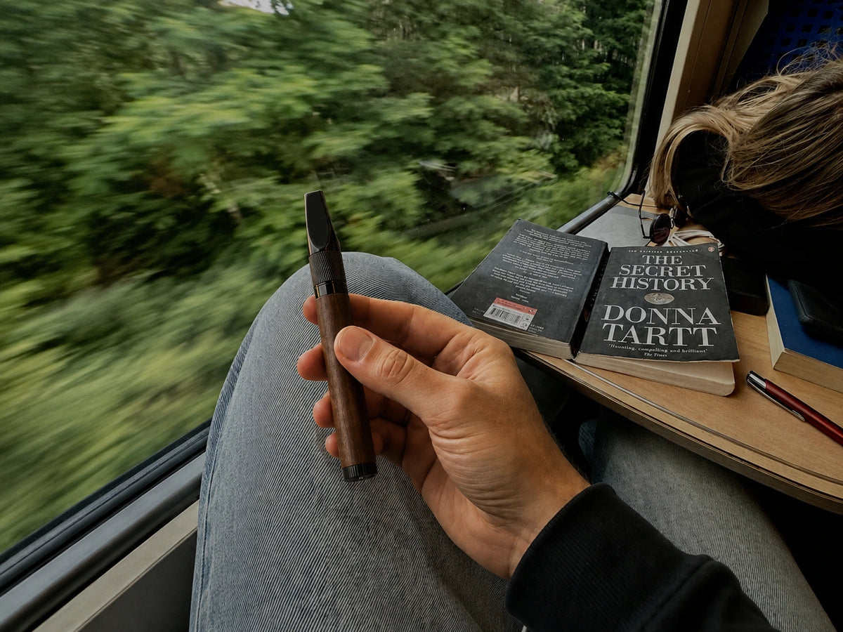 Using Lanmotion on the train